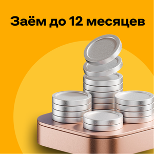 Заём до 12 месяцев до 49 000 ₽
