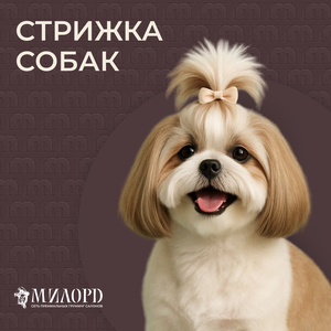 Стрижка собак