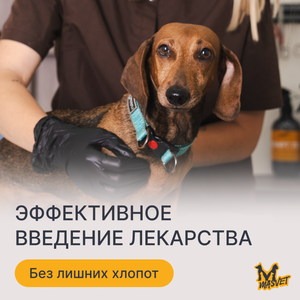 Подкожные инъекции для животных
