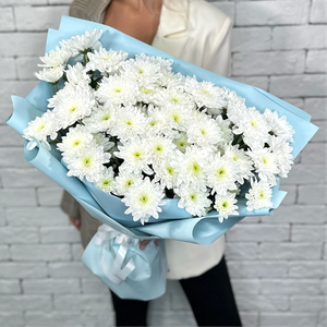 Букет 15 белых кустовых хризантем Pina Colada