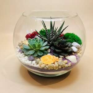 Флорариум из суккулент-16х20 