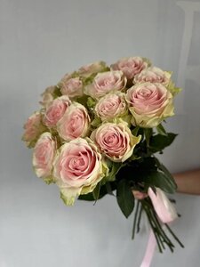 Роза Фрутетто 15 шт