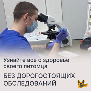 Общий анализ крови животных