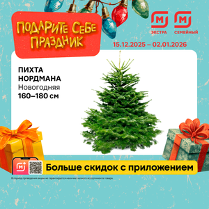 Подарите себе праздник. Пихта Нордмана 160-180 см