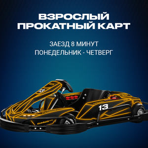 Картинг Пн-Чт