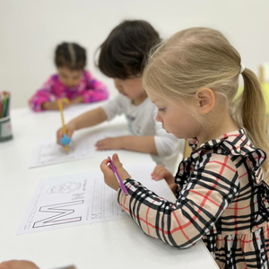 Подготовительная группа (5-6 лет)