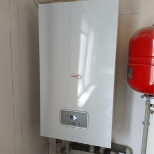 Ремонт газового котла Protherm