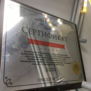 Плакетки на заказ
