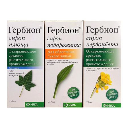 Листья первоцвета - MosRosa.ru