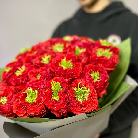 Роза ред ай фото и описание 25 красных роз Red Monster