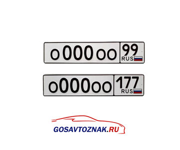 Комплект(2 шт.) госномеров (ТИП 1)