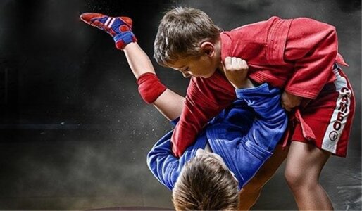 Спортивное Cамбо