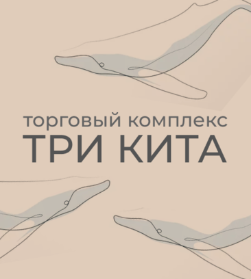 Три Кита (Луговая ул., 1, рабочий посёлок Новоивановское), торговый центр в Москве и Московской области