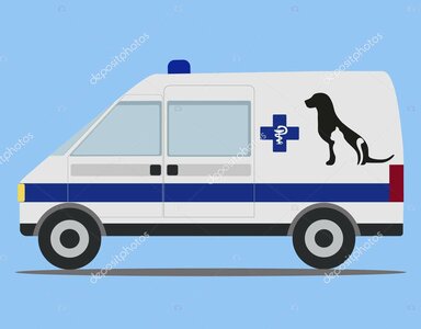 Вызов ветеринарного врача на дом
