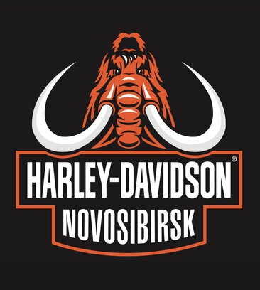 Harley-Davidson Новосибирск (Станционная ул., 62/1), мотосалон в Новосибирске