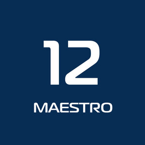 Абонемент 12 MAESTRO-занятий