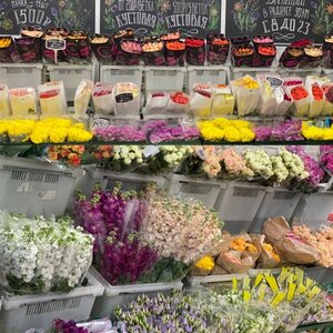 Цветы пачками розы 50см 15штук