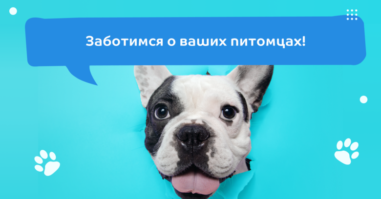 ЗооПорт (Даев пер., 14), ветеринарная аптека в Москве
