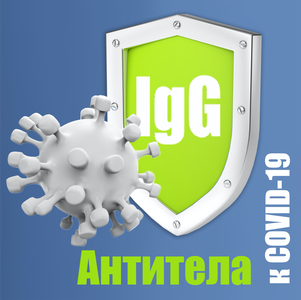 Антитела IgG и IgM к COVID-19