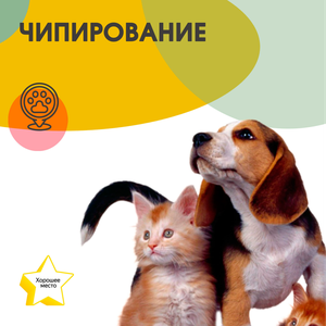 Чипирование