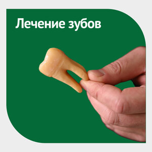 Лечение зубов