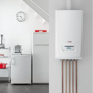 Газовые котлы Protherm