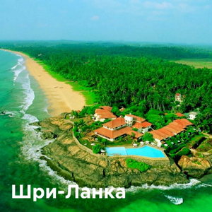 Выгодные предложения