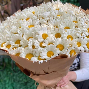 Ромашки 80 р