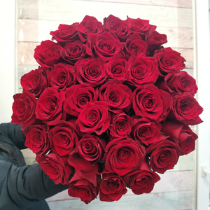 35 роз Эквадор Эксплоер