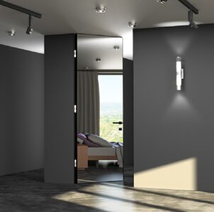 Зеркальная дверь AurumDoors Ag (Аргентум)