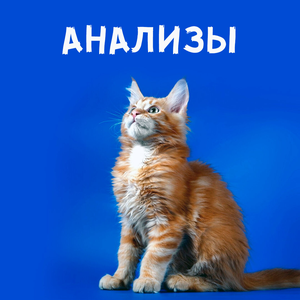 Анализы для животных