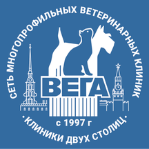 Вега (ул. Маршала Казакова, 1, корп. 1В), ветеринарная клиника в Санкт‑Петербурге