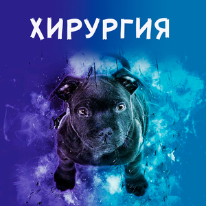 Хирургия для животных