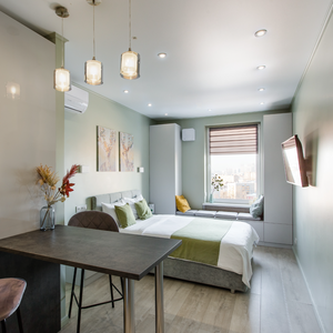Стильный апартамент Loft 479