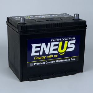 Eneus Professional 80Ач