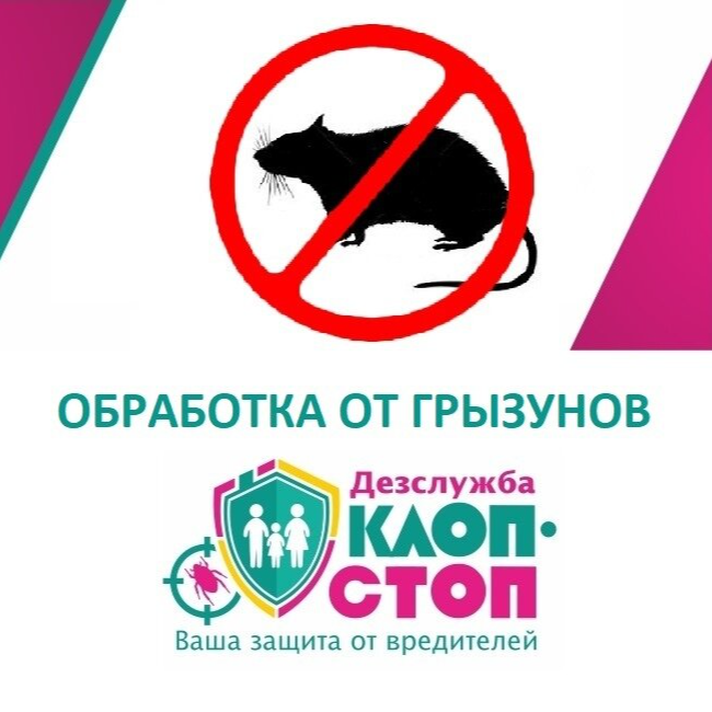 тоқта-қандала клоп-стоп Актау - покупайте на Agora.Kz по выгодной цене. Offer fr
