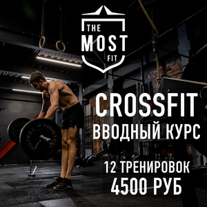 Вводный курс для новичков.