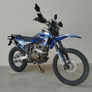 Мотоцикл Regulmoto Sport-003 PR 300