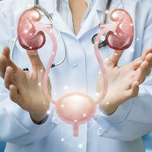Консультация уролога + узи предстательной железы 