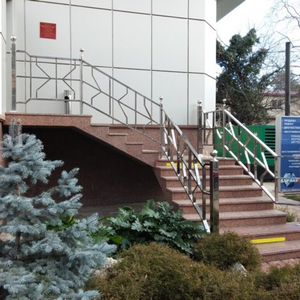Перила «Эксклюзив» с рисунком