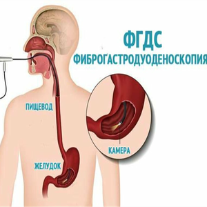 Комплексное исследование желудка