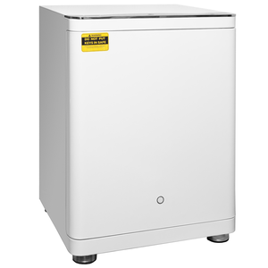 Xiaomi CRMCR BGX-X1-55KN