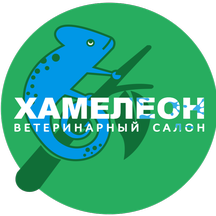 Veterinary Clinic Chameleon (proyezd Makarenko, 3), veterinary clinic