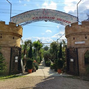 Флористика