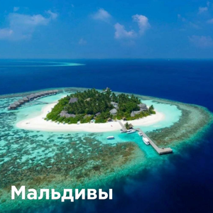 Выгодные предложения