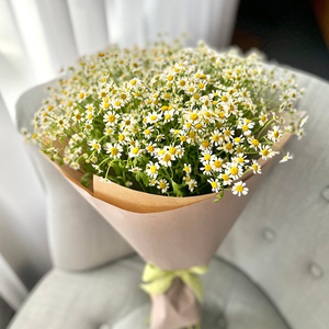 Букет ромашек