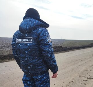 Профессиональная охрана