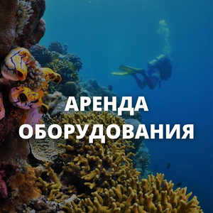 Аренда оборудования 