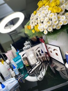 Курс «Бровист»