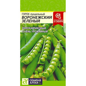 Горох «Воронежский зелёный»
